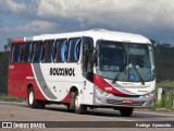 Rouxinol 1870 na cidade de Conselheiro Lafaiete, Minas Gerais, Brasil, por Rodrigo  Aparecido. Número da foto: #6381543.