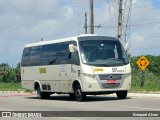 Wiltur 5812023 na cidade de Pacatuba, Ceará, Brasil, por Ezequiel Alves. Número da foto: #6381598.