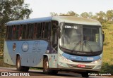Viação São Luiz 15500 na cidade de Conselheiro Lafaiete, Minas Gerais, Brasil, por Rodrigo  Aparecido. Número da foto: #6381746.