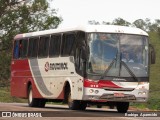 Rouxinol 919 na cidade de Conselheiro Lafaiete, Minas Gerais, Brasil, por Rodrigo  Aparecido. ID da foto: :id.