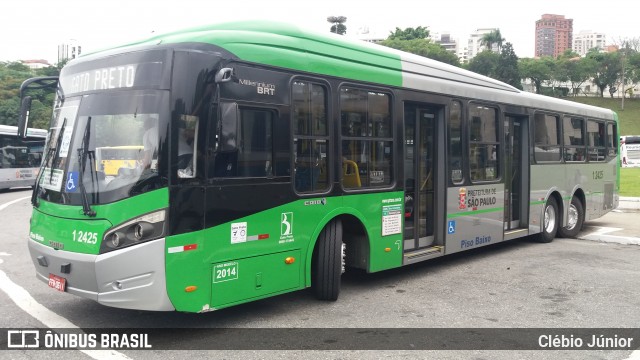 Viação Gato Preto 1 2425 na cidade de São Paulo, São Paulo, Brasil, por Clébio Júnior. ID da foto: 6322747.