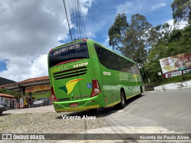 Pássaro Verde 15129 na cidade de Ouro Preto, Minas Gerais, Brasil, por Vicente de Paulo Alves. ID da foto: 6323045.