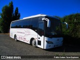 Viajes Rutacruz BUS DEL VINO RUTACRUZ na cidade de Santa Cruz, Colchagua, Libertador General Bernardo O'Higgins, Chile, por Pablo Andres Yavar Espinoza. Número da foto: #6391329.