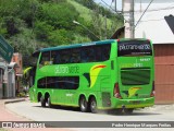 Pássaro Verde 12127 na cidade de Ponte Nova, Minas Gerais, Brasil, por Pedro Henrique Marques Freitas . Número da foto: #:id.