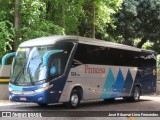 Viação Princesa dos Inhamuns 300 na cidade de Fortaleza, Ceará, Brasil, por José Ribamar Lima Fernandes. Número da foto: #:id.
