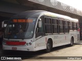 Rio Rotas Transporte e Turismo D81075 na cidade de Rio de Janeiro, Rio de Janeiro, Brasil, por Rodrigo Miguel. Número da foto: #6329885.