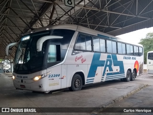 Falcão Real 22200 na cidade de Juazeiro, Bahia, Brasil, por Carlos Henrique. Número da foto: #6330773.