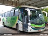 Pássaro Verde 1043 na cidade de Ouro Preto, Minas Gerais, Brasil, por Daniel Gomes. Número da foto: #6331210.
