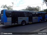 Transwolff Transportes e Turismo 6 6914 na cidade de São Paulo, São Paulo, Brasil, por Roberto Teixeira. Número da foto: #:id.