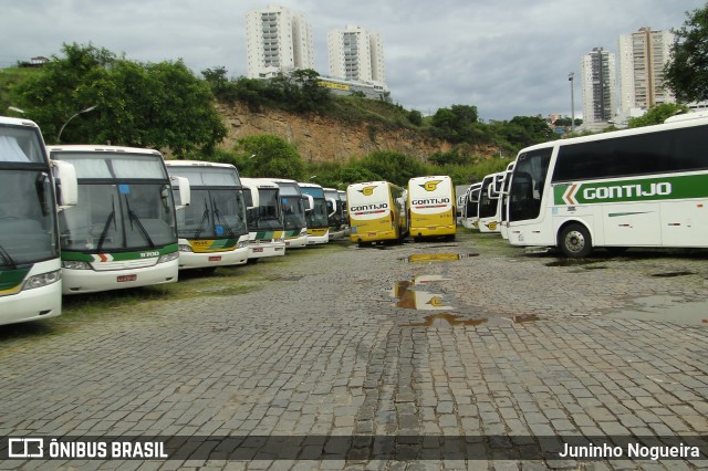 Empresa Gontijo de Transportes 12110 na cidade de Belo Horizonte, Minas Gerais, Brasil, por Juninho Nogueira. ID da foto: 6332681.