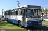 Ônibus Particulares 9531 na cidade de Tramandaí, Rio Grande do Sul, Brasil, por Daniel Espindola Dorneles. Número da foto: #5727812.