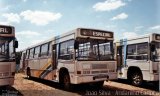 Ônibus Particulares 8303 na cidade de Curitiba, Paraná, Brasil, por João Silva. ID da foto: :id.