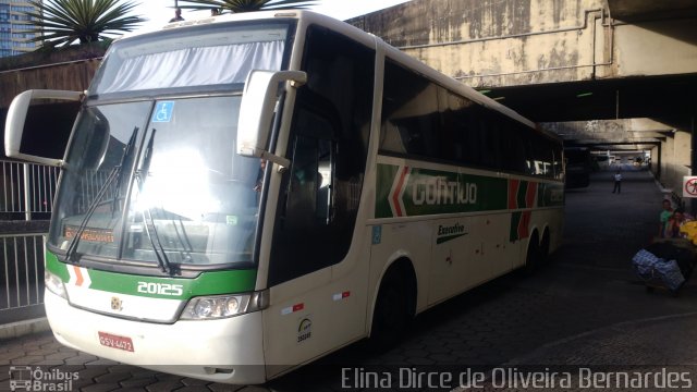 Empresa Gontijo de Transportes 20125 na cidade de Belo Horizonte, Minas Gerais, Brasil, por Elina Dirce de Oliveira Bernardes. ID da foto: 5730456.