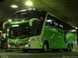 Pássaro Verde 12126 na cidade de Belo Horizonte, Minas Gerais, Brasil, por Renan Vieira. Número da foto: #5734145.