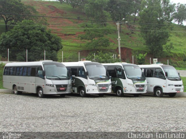 Ônibus Particulares 4921 na cidade de Ubá, Minas Gerais, Brasil, por Christian  Fortunato. Número da foto: #5734643.