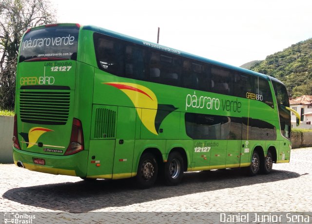 Pássaro Verde 12127 na cidade de Ouro Preto, Minas Gerais, Brasil, por Daniel Junior Sena. Número da foto: #5738383.