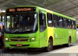 Transcol Transportes Coletivos 04396 na cidade de Teresina, Piauí, Brasil, por Eusanio dos Santos. Número da foto: #5738273.
