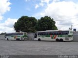 Empresa Gontijo de Transportes 16055 na cidade de Teixeira de Freitas, Bahia, Brasil, por Gilberto Martins. Número da foto: #5742105.