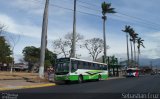 Cagua de Alajuela AB 4365 na cidade de , por Sebastián Cruz. Número da foto: #:id.