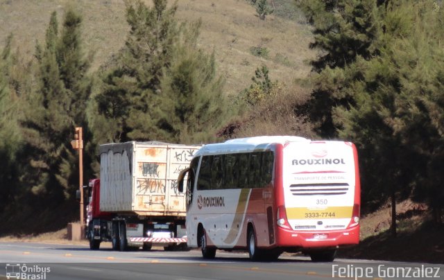 Rouxinol 350 na cidade de Itabirito, Minas Gerais, Brasil, por Felipe Gonzalez. ID da foto: 5748059.