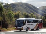 Rouxinol 350 na cidade de Itabirito, Minas Gerais, Brasil, por Felipe Gonzalez. Número da foto: #5748057.