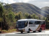 Rouxinol 350 na cidade de Itabirito, Minas Gerais, Brasil, por Felipe Gonzalez. ID da foto: :id.