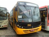 Transportes Coletivos Nossa Senhora da Piedade EP402 na cidade de Campo Largo, Paraná, Brasil, por Diego Bianco. Número da foto: #:id.