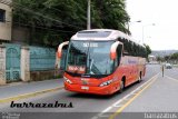 Pullman Bus 419A na cidade de Viña del Mar, Valparaíso, Valparaíso, Chile, por Rodrigo Barraza. Número da foto: #5707695.