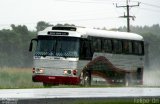Ônibus Particulares BWA6374 na cidade de Cascavel, Paraná, Brasil, por Felipe  Dn. Número da foto: #:id.