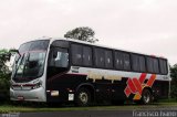 Rápido Campinas 82380 na cidade de Quatá, São Paulo, Brasil, por Francisco Ivano. Número da foto: #5755744.
