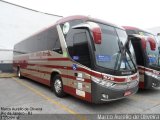 Santa Maria Fretamento e Turismo > Transportes Santa Maria(SP) 570 na cidade de Rio de Janeiro, Rio de Janeiro, Brasil, por Marco Aurélio de Oliveira. Número da foto: #5755762.