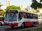 Ribe Transporte 2590 na cidade de Ribeirão Preto, São Paulo, Brasil, por Reginaldo Vieira. Número da foto: #:id.