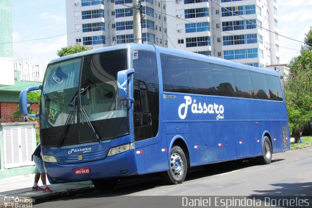 Turismo Pássaro Azul 2216 na cidade de Tramandaí, Rio Grande do Sul, Brasil, por Daniel Espindola Dorneles. Número da foto: #5766742.
