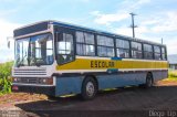 Caravaggio Tur - Caravaggio Transporte e Turismo 2982 na cidade de São Miguel do Oeste, Santa Catarina, Brasil, por Diego Lip. Número da foto: #5766435.