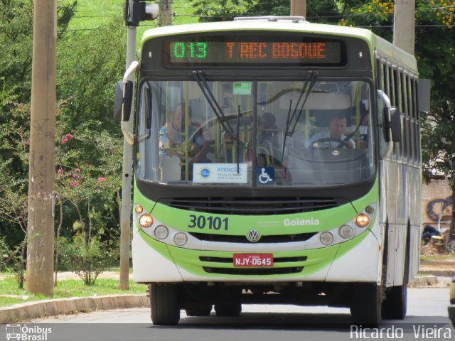 Viação Reunidas 30101 na cidade de Goiânia, Goiás, Brasil, por Ricardo Vieira. Número da foto: #5769785.