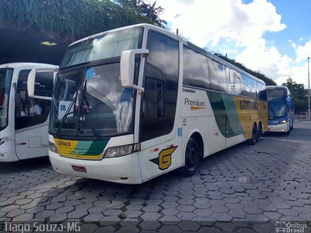 Empresa Gontijo de Transportes 12665 na cidade de Belo Horizonte, Minas Gerais, Brasil, por Tiago Wenceslau de Souza. ID da foto: 5768884.