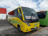 Buses Tricahue TRANS TRICAHUES 01 na cidade de Santa Cruz, Colchagua, Libertador General Bernardo O'Higgins, Chile, por Pablo Andres Yavar Espinoza. Número da foto: #5770799.