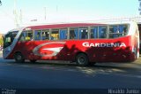 Expresso Gardenia 3255 na cidade de Jacutinga, Minas Gerais, Brasil, por Nivaldo Junior. Número da foto: #:id.