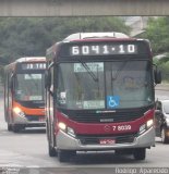 Transwolff Transportes e Turismo 7 8039 na cidade de São Paulo, São Paulo, Brasil, por Rodrigo  Aparecido. Número da foto: #5772216.