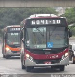 Transwolff Transportes e Turismo 7 8039 na cidade de São Paulo, São Paulo, Brasil, por Rodrigo  Aparecido. ID da foto: :id.