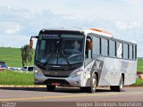 Escala Locadora 2021 na cidade de Cambé, Paraná, Brasil, por Wagner Domingos Ivanesken. Número da foto: #5710856.