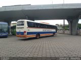 Viação Sertaneja 290 na cidade de Belo Horizonte, Minas Gerais, Brasil, por Adriano  Almeida. Número da foto: #5712337.