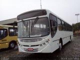 Auto Omnibus Floramar 10073 na cidade de Belo Horizonte, Minas Gerais, Brasil, por Wericson Silva. Número da foto: #5713313.