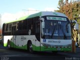 Transportes Arguedas SJB 12815 na cidade de , por Josué Mora. Número da foto: #5719057.