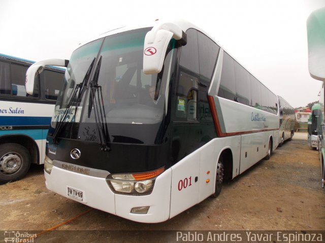 Buses Castillo e Hijos 001 na cidade de Pichilemu, Cardenal Caro, Libertador General Bernardo O'Higgins, Chile, por Pablo Andres Yavar Espinoza. Número da foto: #5721558.