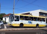 TIL Transportes Coletivos 533 na cidade de Cambé, Paraná, Brasil, por Lucas Oliveira . ID da foto: :id.