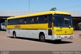 Japiaçu 023 na cidade de Peritoró, Maranhão, Brasil, por Flavio Rodrigues Silva. Número da foto: #5720991.