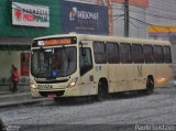 Viação Castelo Branco 25142 na cidade de Curitiba, Paraná, Brasil, por Paulo Gustavo. Número da foto: #:id.