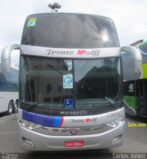 Trans Wolff Transportes e Turismo 12018 na cidade de São Paulo, São Paulo, Brasil, por Carlos Júnior. Número da foto: #5725329.