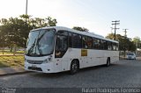 UFPE - Universidade Federal de Pernambuco 9974 na cidade de São Cristóvão, Sergipe, Brasil, por Rafael Rodrigues Forencio. Número da foto: #5796385.